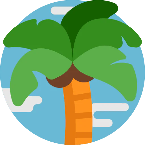 Palm tree icon