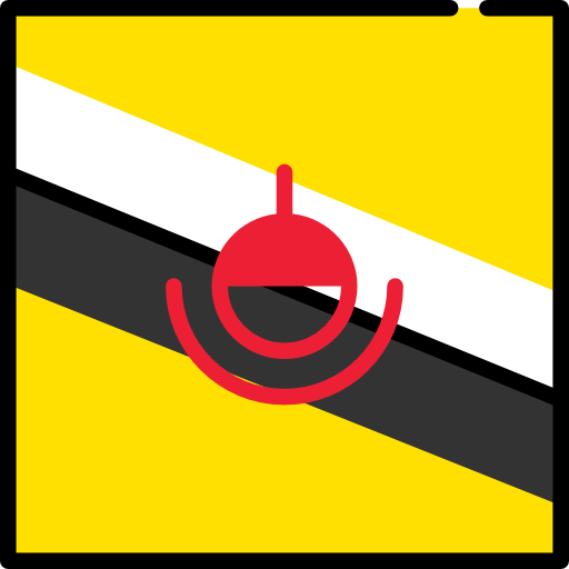 Brunei icon