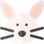 Rabbit іконка 64x64