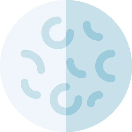 Moon icon