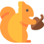Squirrel icon 64x64