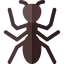 Ant icon 64x64