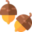 Acorn icon 64x64