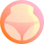Panties icon 64x64