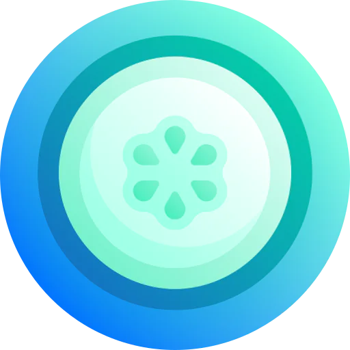 Cucumber slice icon