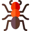Ant icon 64x64