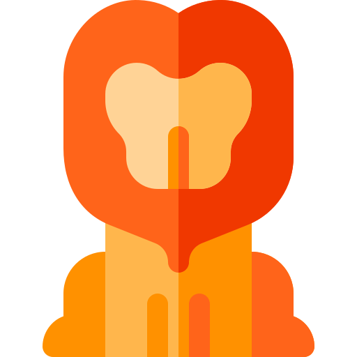Lion icon