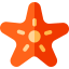Starfish icon 64x64