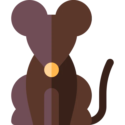 Rat icon