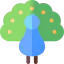 Peacock icon 64x64