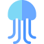 Jellyfish icon 64x64
