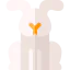 Hare icon 64x64