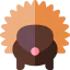 Porcupine icon 64x64