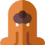 Walrus icon 64x64