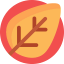 Autumn icon 64x64