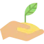 Sprout icon 64x64