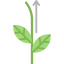 Plant icon 64x64