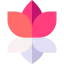 Lotus icon 64x64
