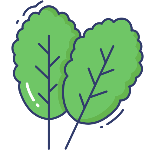 Spinach icon