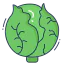 Cauliflower icon 64x64
