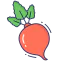 Radish icon 64x64