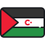 Sahrawi arab democratic republic icon 64x64
