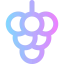 Grape icon 64x64