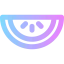 Melon icon 64x64