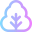 Lettuce icon 64x64