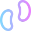 Beans icon 64x64