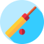 Cricket icon 64x64