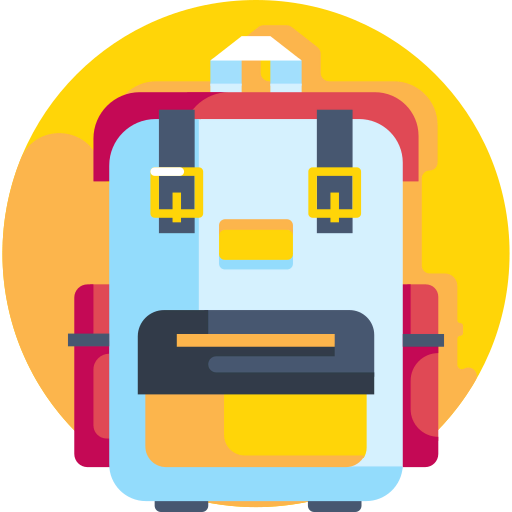 Camera bag icon