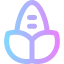 Corn icon 64x64