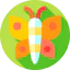 Butterfly icon 64x64