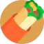 Burrito icon 64x64