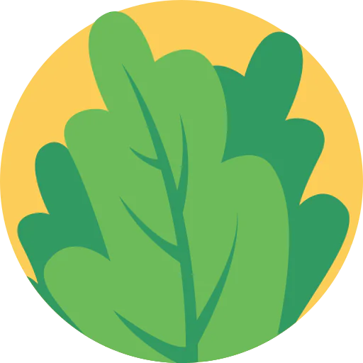 Salad icon