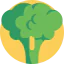 Broccoli biểu tượng 64x64