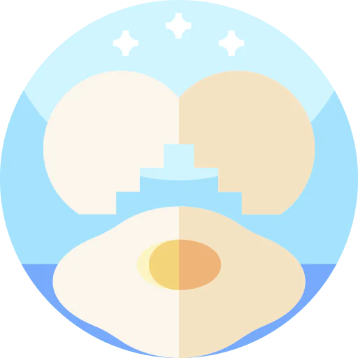 Fried egg icon