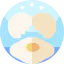 Жаренное яйцо иконка 64x64
