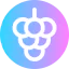 Grape icon 64x64