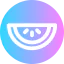 Melon icon 64x64