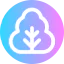 Lettuce icon 64x64