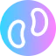 Beans icon 64x64