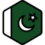 Pakistan icon 64x64