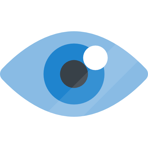Visibility icon