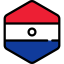 Paraguay icon 64x64