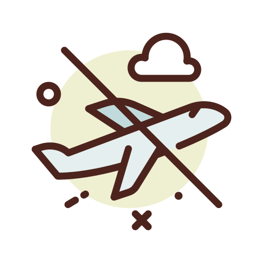 Flight icon