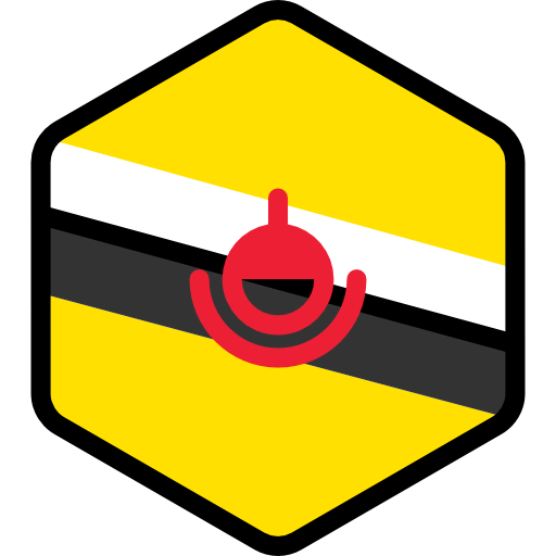 Brunei icon