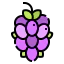 Grape icon 64x64