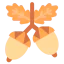 Acorn icon 64x64